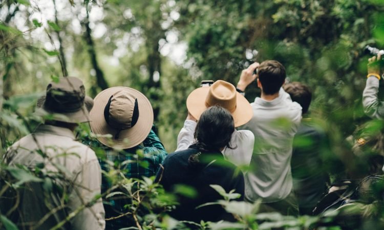 Best-Places-for-Photograph-Safaris