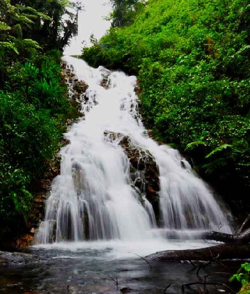 Bwindi Impenetrable National Park