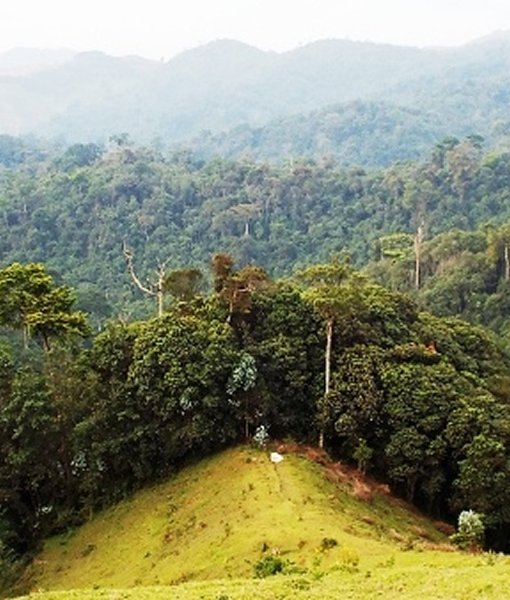 Gishwati Mukura National Park