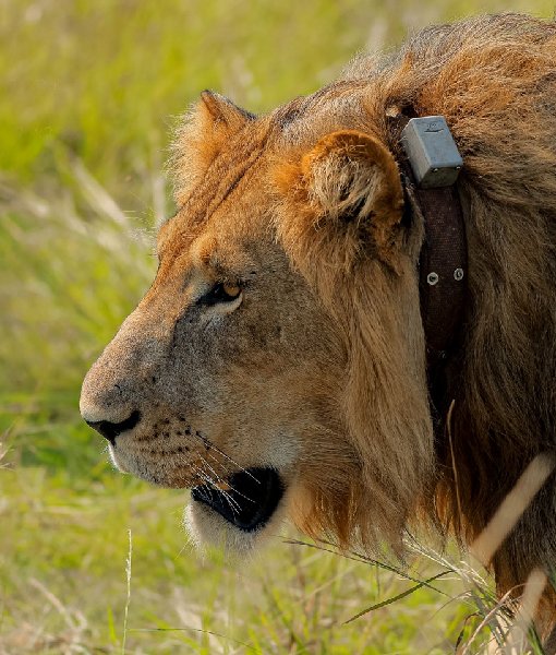 Queen Elizabeth National Park