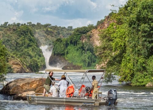 Top of The Falls in Murchison