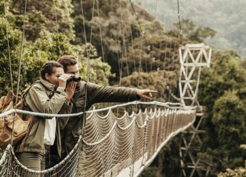 Canopy Walk Trail Hike