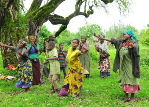 10 Days Rwanda Wildlife Safari