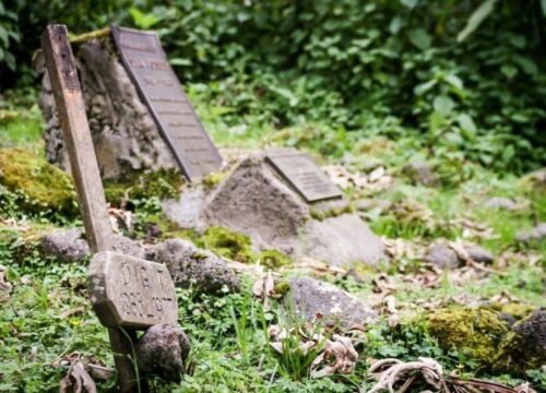 Dian Fossey Tomb Hike
